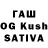 Галлюциногенные грибы GOLDEN TEACHER Nik Samogonov