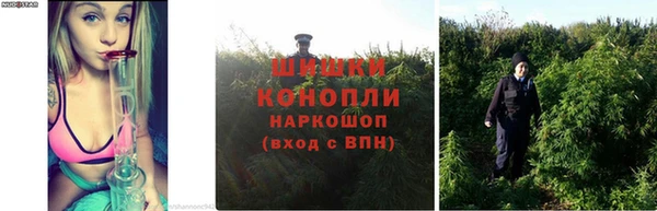 гидра Горно-Алтайск