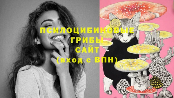 spice Горняк