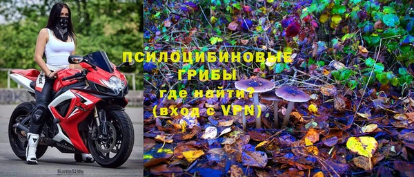 гидра Горно-Алтайск